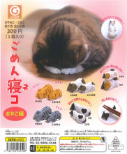 Load image into Gallery viewer, New box information 🌟New arrivals in February🌟 Brand new Japanese version of Gacha Shine G sleeping parent-child cat and mother cat black and white pair
