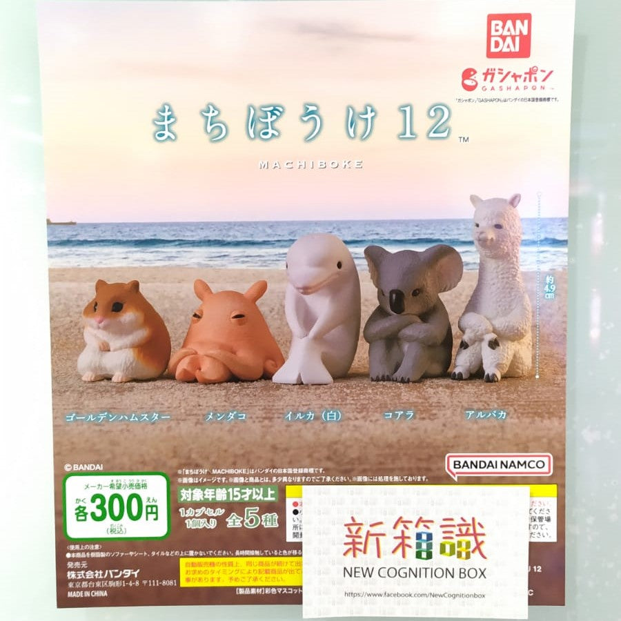 新箱識 🌟 9月新貨🌟  現貨 行版 扭蛋 BANDAI 動物等待系列12 敘利亞倉鼠  倉鼠 扁面蛸 白鯨 無尾熊 羊駝 一套5款