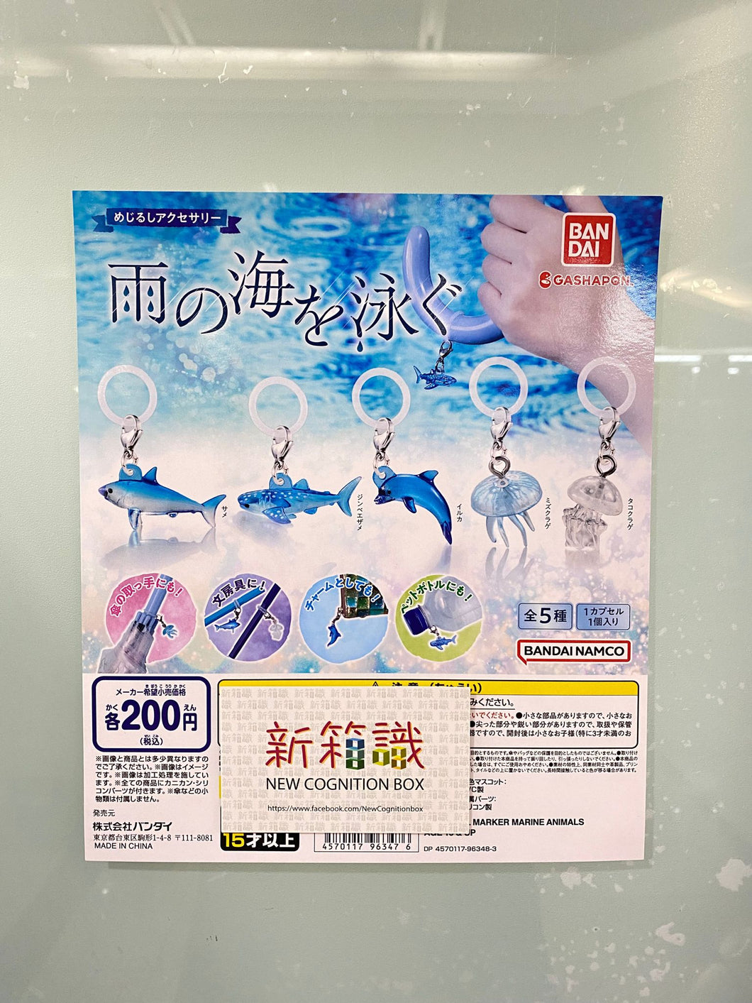 New box information 🌟New goods in July🌟 Brand new gashapon marine life umbrella pendant set of 5 sharks, dolphins, whale sharks, pearl jellyfish, moon jellyfish