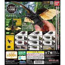 Load image into Gallery viewer, Check out the new box for the current version of Bandai Gashapon Insect Beetle Large Picture Book Long Halberd and Big Pocket Insect
