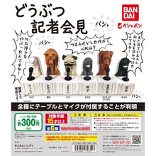 Cargar imagen en el visor de la galería, 新箱識 🌟2月新貨🌟 現貨 行版 Bandai 扭蛋 動物 記者會 記者招待會 謝罪 障子 破壞行為 壁紙 咪高風 咪 Mike 問罪 鞠躬 道歉 八哥 狗
