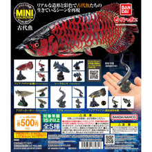 Load image into Gallery viewer, New box information🌟New arrivals in October🌟 Ready-made version of BANDAI gashapon large picture book series ancient fish and crocodile
