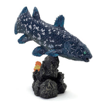 Load image into Gallery viewer, New box information 🌟New arrivals in October🌟 Ready-made version of BANDAI gashapon large illustration series ancient fish coelacanth
