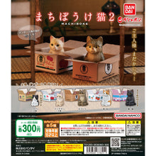 Load image into Gallery viewer, New box knowledge 🌟New arrivals in November🌟 Ready-made version of Bandai Cat Waiting Series 2nd Machiboke Cat Cat 2nd Vol 2 tea white cat carton
