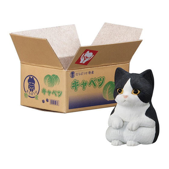 新箱識 🌟 11月新貨🌟 現貨 行版 Bandai 貓咪等待系列 第2彈 Machiboke Cat 貓咪第二彈 Vol 2 禮服貓 BB