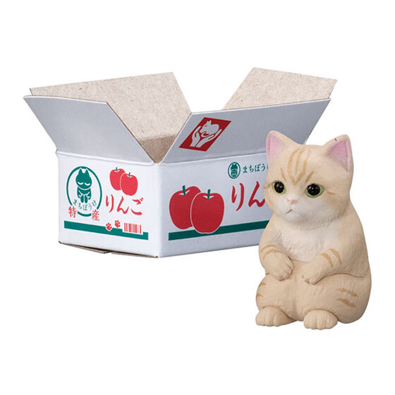 New box knowledge 🌟 New arrivals in November 🌟 Ready-made version of Bandai Cat Waiting Series Vol. 2 Machiboke Cat Vol. 2 Bunchiken Cat Manchiken Cat Short-Legged Cat BB