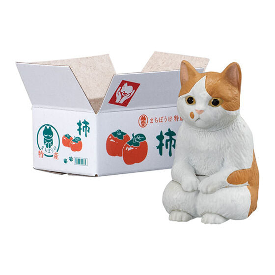 New box knowledge 🌟New arrivals in November🌟 Ready-made version of Bandai Cat Waiting Series 2nd Machiboke Cat Cat 2nd Vol 2 tea white cat carton