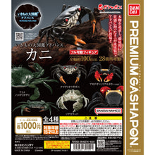 將圖片載入圖庫檢視器 新箱識 🌟12月新貨🌟 行版 扭蛋 Bandai Premium Gashapon 動物 大圖鑑 收藏 關節可動 酒色艷團扇蟹
