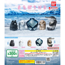 Load image into Gallery viewer, New box information🌟New arrivals in January🌟 Ready-made gashapon BANDAI Waiting for animals to sit in a row gashapon 9th volume Vol. 9 Marine life Pomeranian Squirrel Dog Xi
