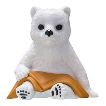 Load image into Gallery viewer, New box knowledge 🌟 New arrivals in March 🌟 Ready stock version of gashapon animal sauna bathhouse animal Animal Souna 8 Season 8 sauna animal animal polar bear BB 
