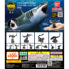 Load image into Gallery viewer, New box information 🌟New arrivals in April🌟 Brand new gashapon Bandai Shark Illustrated Mini Collection Cardini&#39;s sharp-jawed black shark Viper dogfish dogfish shark Viper shark belly snake shark
