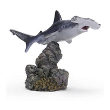 Load image into Gallery viewer, New box information🌟New arrivals in April🌟 Brand new gashapon Bandai Shark illustration mini collection Hammerhead shark Hammerhead shark Axehead shark
