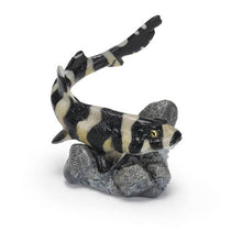 Load image into Gallery viewer, New box information🌟New arrivals in April🌟 Brand new gashapon Bandai shark illustration mini collection dotted bamboo shark
