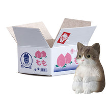 Load image into Gallery viewer, New box knowledge🌟New arrivals in April🌟Ready brand new BANDAI MACHIBOKE Cat Waiting Series No. 3 Pheasant White White Cat Cardboard Cat
