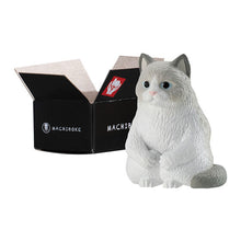 Load image into Gallery viewer, New box knowledge 🌟New arrivals in April🌟Ready-made brand new gashapon BANDAI MACHIBOKE Cat Waiting Series 3rd Ragdoll Cat
