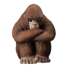 Load image into Gallery viewer, New box information 🌟New goods in May🌟 Ready-made version of BANDAI gashapon MACHIBOKE unconfirmed creatures waiting for the third series of Bigfoot and
