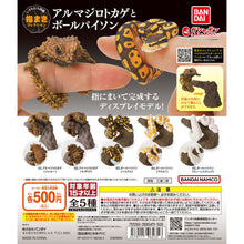 Load image into Gallery viewer, New box information 🌟New arrivals in June🌟 Ready-made version of the brand new BANDAI gashapon large illustration series finger series armadillo lizard &amp; ball python ball python - white
