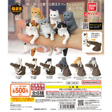 Load image into Gallery viewer, New box knowledge 🌟 New arrivals in August 🌟 BANDAI regular version of gashapon large picture book series finger series cats Japanese cats (eight cuts)
