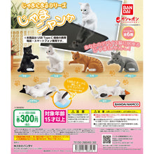 Load image into Gallery viewer, New box knowledge 🌟New arrivals in August🌟 Gacha egg brand new ready-made Bandai cat mobile phone dustproof plug white cat
