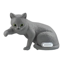 Load image into Gallery viewer, New box knowledge 🌟New arrivals in August🌟 Gacha egg brand new in stock Bandai cat mobile phone dustproof plug gray cat
