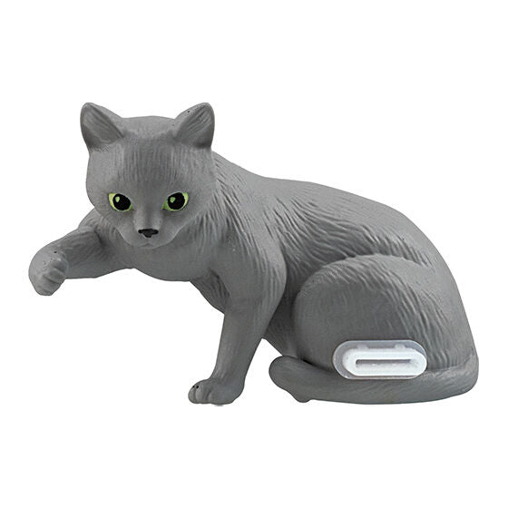 New box knowledge 🌟New arrivals in August🌟 Gacha egg brand new in stock Bandai cat mobile phone dustproof plug gray cat