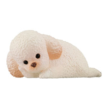 Load image into Gallery viewer, New box information 🌟 New arrivals in September 🌟 Ready-made version of gashapon cute animal head care series 2nd edition Poodle Poodle White
