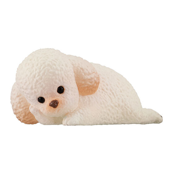 New box information 🌟 New arrivals in September 🌟 Ready-made version of gashapon cute animal head care series 2nd edition Poodle Poodle White