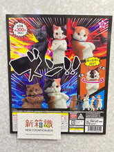 Load image into Gallery viewer, New box information 🌟New arrivals in November🌟 Ready-made Japanese version of the gashapon YELL Cat hugs its chest, cat crosses its arms, cat turns its head and hugs its arms, cute cured short-eared cat, bridged hands, folded hands, cat with folded ears 
