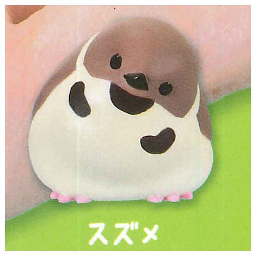 New box with Japanese version of YELL Gacha Squishy Sofubi bird soft rubber sparrow