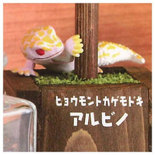 Load image into Gallery viewer, New box with Japanese version of gashapon gecko toy decoration Peep Leopas leopard gecko
