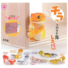 Load image into Gallery viewer, New box with Japanese version of gashapon gecko toy decoration Peep Leopas leopard gecko
