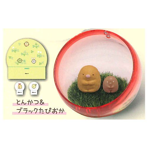 Check out the new box, Japanese version of gashapon Koro Koro, corner creature corner friend, Sumikko Pittori, grass eco-ball fried pork chop