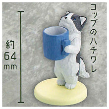 Load image into Gallery viewer, New box information 🌟New arrivals in November🌟 Blue cup - black and white cat spot Japanese version gashapon cat sculpture begging for food bottle water cup
