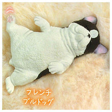 Load image into Gallery viewer, New box information 🌟New arrivals in February🌟 Ready-made Japanese version of the gashapon Yell Good Night Lucky Animal Magic Dou
