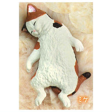 Load image into Gallery viewer, New box information 🌟New arrivals in February🌟 Ready-made Japanese version of gashapon Yell Goodnight sleeping animal cat
