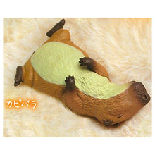 Load image into Gallery viewer, New box information 🌟New arrivals in February🌟 Ready-made Japanese version of gashapon Yell Goodnight sleeping animal capybara
