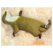 Load image into Gallery viewer, New box information 🌟New arrivals in February🌟 Ready-made Japanese version of gashapon Yell Goodnight sleeping animal otter
