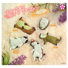 Load image into Gallery viewer, New box information 🌟New arrivals in February🌟 Ready-made Japanese version of gashapon Yell Goodnight sleeping animal cat
