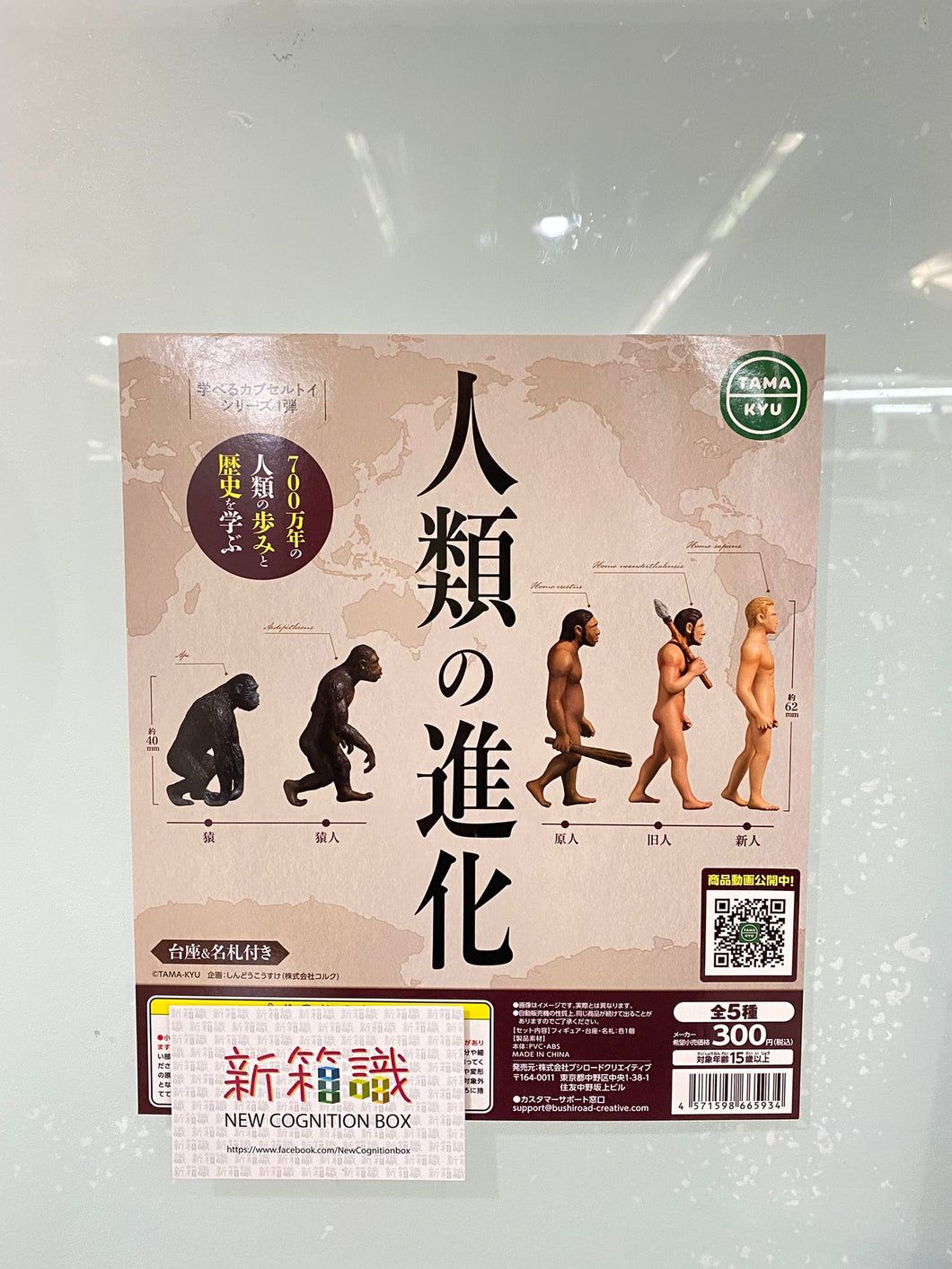 新ボックス情報🌟 12月新入荷🌟 日本語版TAMA KYU Human Evolution 5種セット