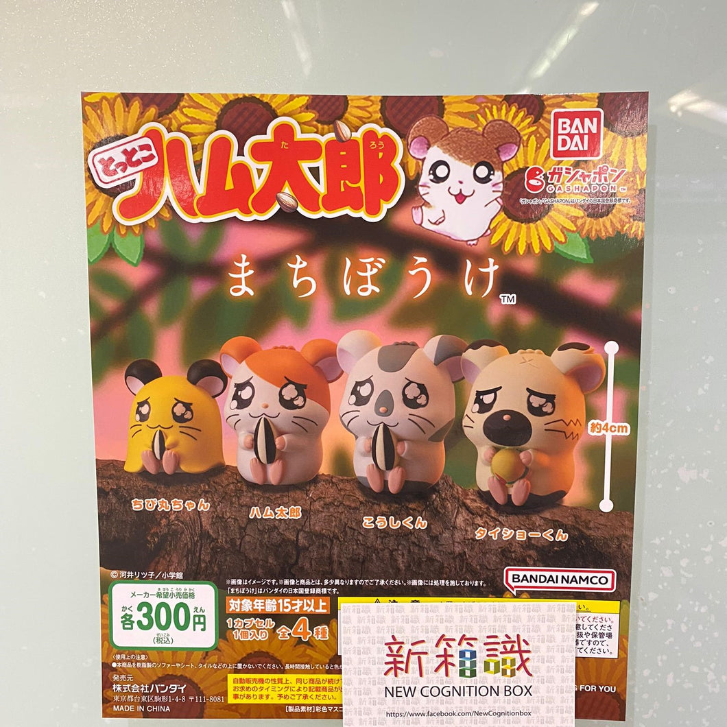 New box knowledge 🌟 New arrivals in July 🌟 Ready-made gashapon version of BANDAI Hamtaro waiting series set of 4 types 