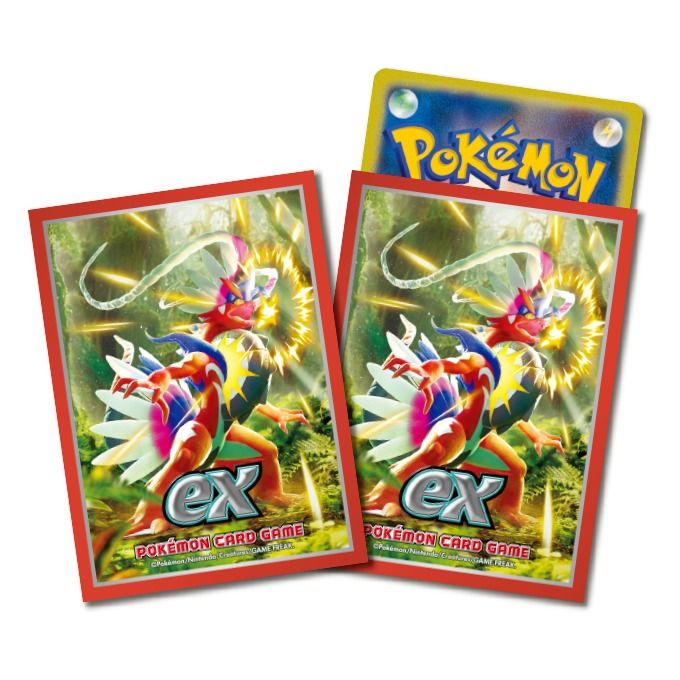 新箱識 🌟2月新貨🌟 遊戲卡 寶可夢 Pokémon 卡套  故勒頓