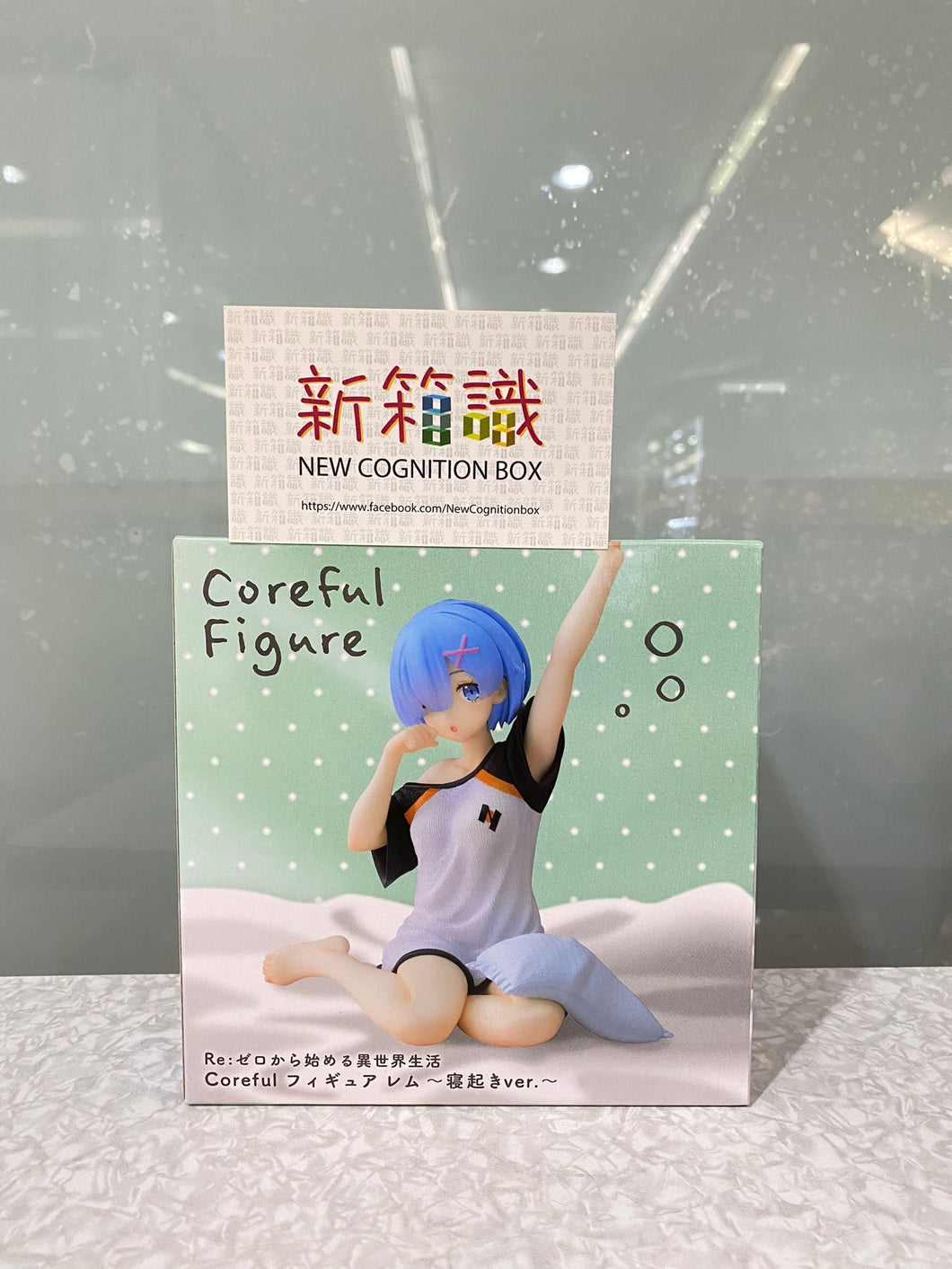 新箱識 🌟8月新貨🌟 現貨 日版 全新 景品 JAIA TAITO Re:從零開始的異世界生活 Rem 雷姆 起身 Ver