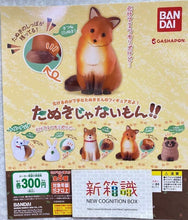 Load image into Gallery viewer, Check out the current version of Bandai Gacha in the new box. Isn’t this a civet cat? ! rabbit
