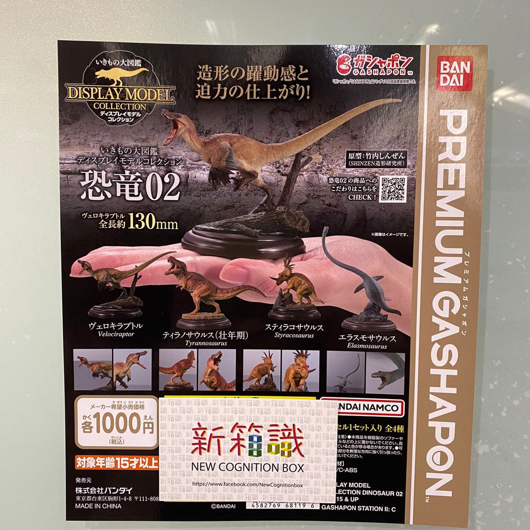 New box identification 🌟 New arrivals in July 🌟 Ready-made gashapon BANDAI Animal Large Illustrated Dinosaur Collection Series 02 Set of 4 models 