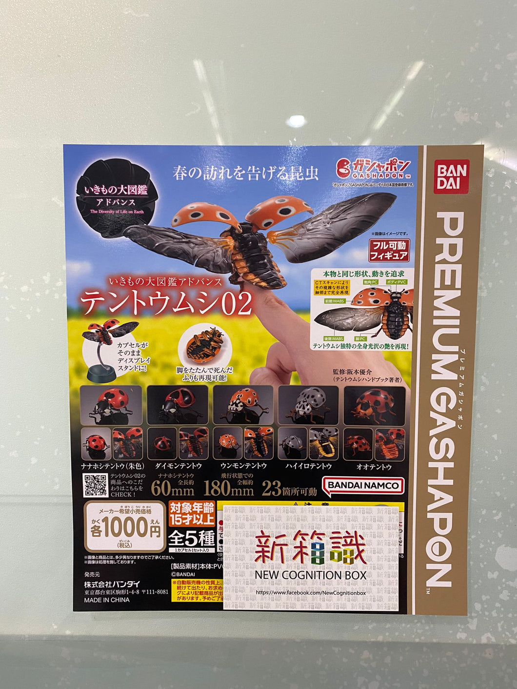 新ボックス識別🌟 3月新入荷🌟 既製品版バンダイ ガチャ動物図鑑 てんとう虫02 5種セット