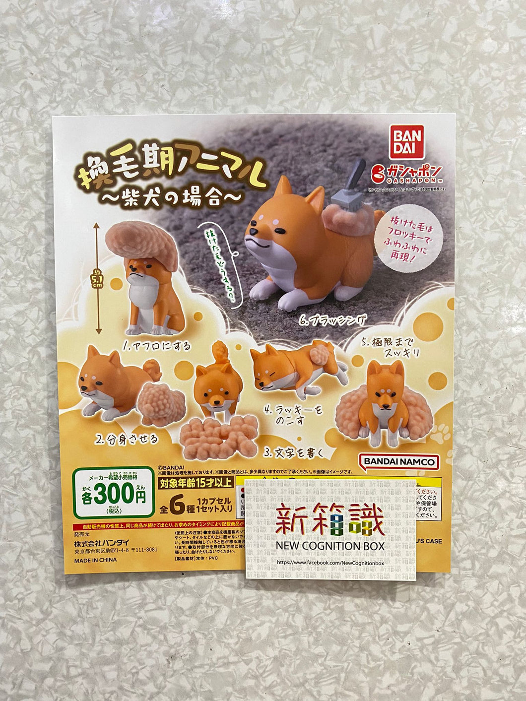 新箱識 🌟 2月新貨🌟  現貨 行版 扭蛋 全新 BANDAI 換毛動物～柴犬的場合～  一套6款