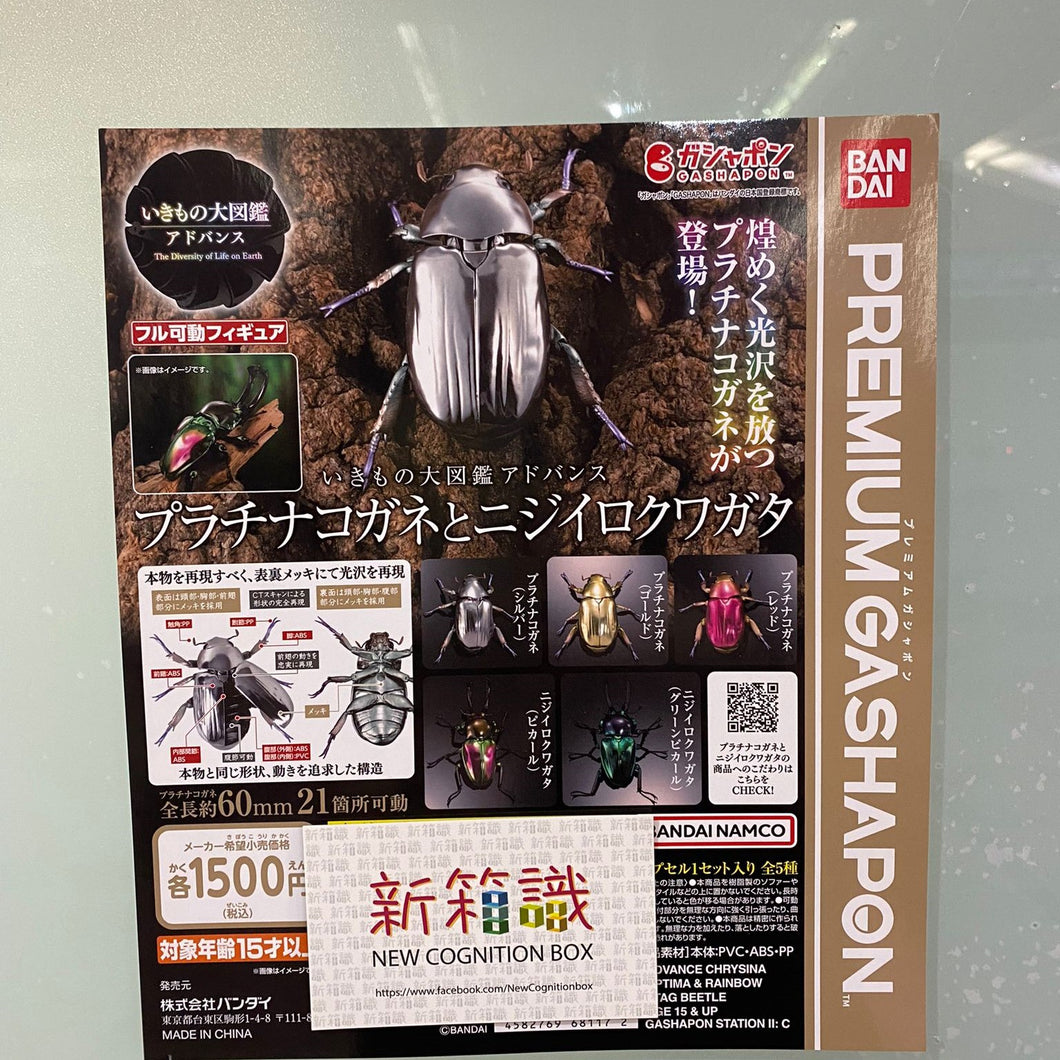 New box information 🌟 New arrivals in July 🌟 Ready-made gashapon BANDAI Advance series stag beetle set of 5 types 