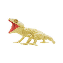 Load image into Gallery viewer, New Box Japanese Version SO TA Gacha AMYAE &amp; LIZARD Gecko Lizard Albino 1:1 1/1 Albino Circle Albino Gecko 
