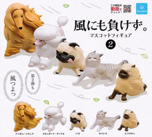 Load image into Gallery viewer, New box knowledge 🌟 New arrivals in July 🌟 Ready-made Japanese version of Gacha Qualia Firm cats and dogs who are fearless of the strong wind will not lose to the wind 2 Funny strong wind blows the second Afghan Hound
