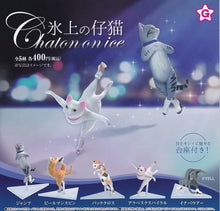 Load image into Gallery viewer, New box information 🌟New arrivals in December🌟 Gacha Japanese version YELL Skating Cat Cat on Ice Cat Skating Cat Cat Skating Cat Gray Cat on Ice
